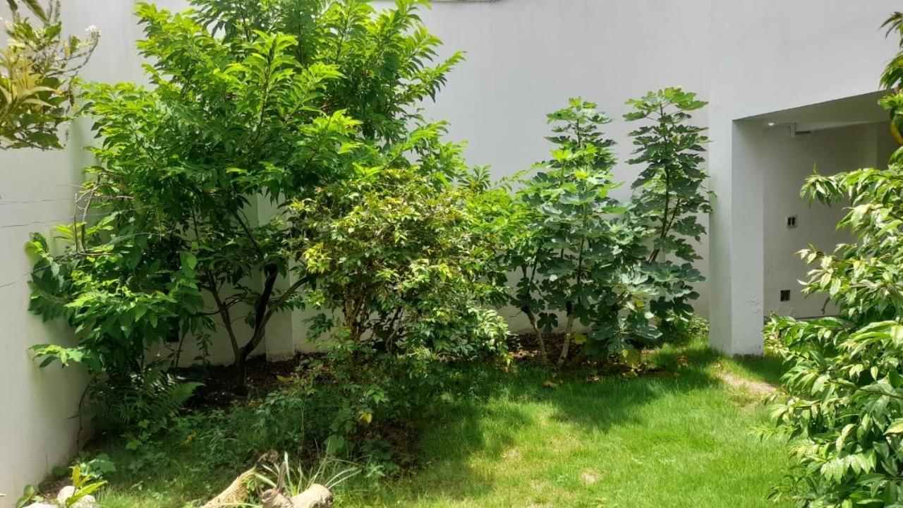 Holiday home Casa De Ate 10 *